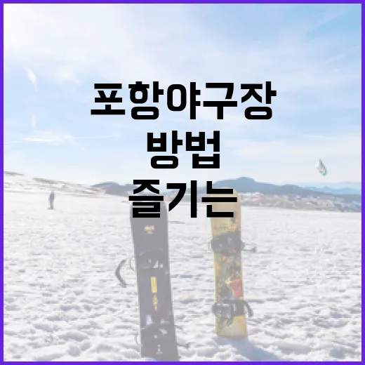 포항야구장을 최대한 즐기는 방법 - 요약