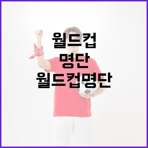 월드컵 명단을 이해하는 방법 - 요약