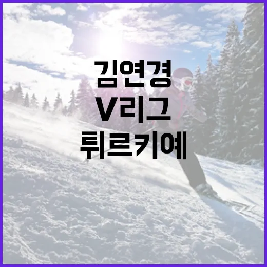 김연경의 V리그에서 튀르키예로 이동하는 방법 - 요약