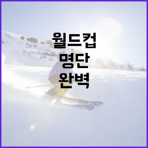 월드컵 명단을 완벽하게 이해하는 방법 - 요약