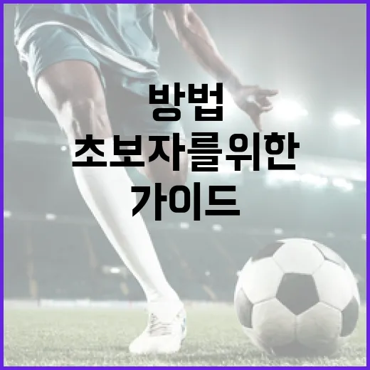 롤 국대가 되는 방법: 초보자를 위한 가이드 - 요약