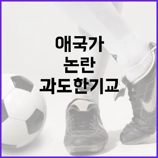 NC 애국가 과도한 기교 논란 해결 방법 - 요약