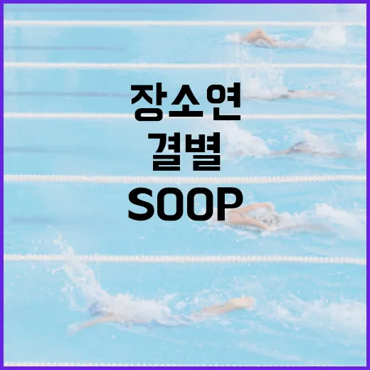 SOOP와 장소연 감독 결별 소식을 이해하는 방법 - 요약