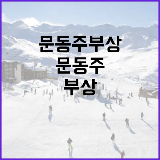김시은 치어리더를 알아보는 방법 - 요약