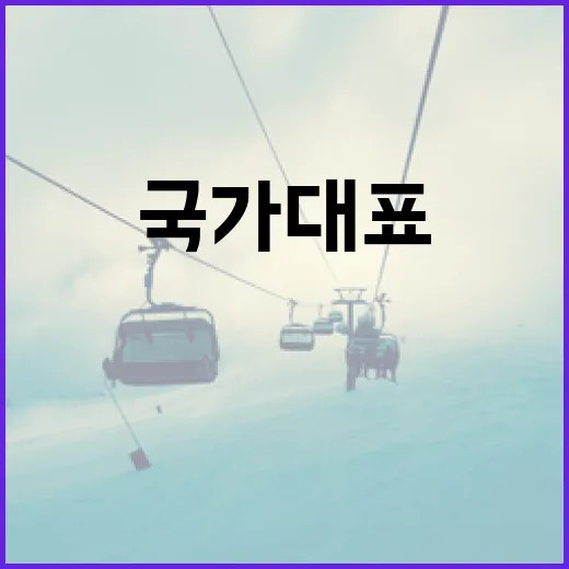 롤 국가대표 팀을 알아보는 방법 - 요약
