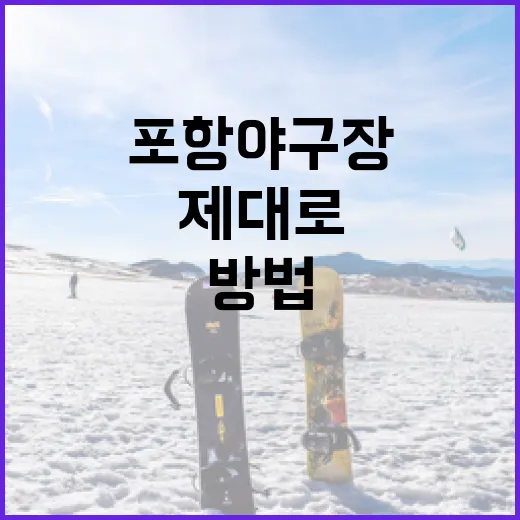 포항야구장을 제대로 즐기는 방법 - 요약