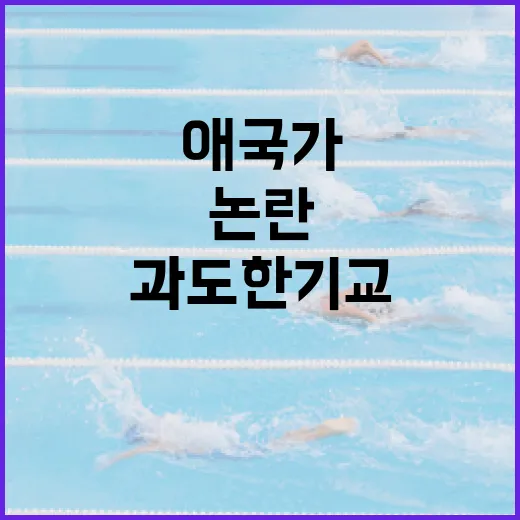 NC 애국가 과도한 기교 논란 이해하기 - 요약