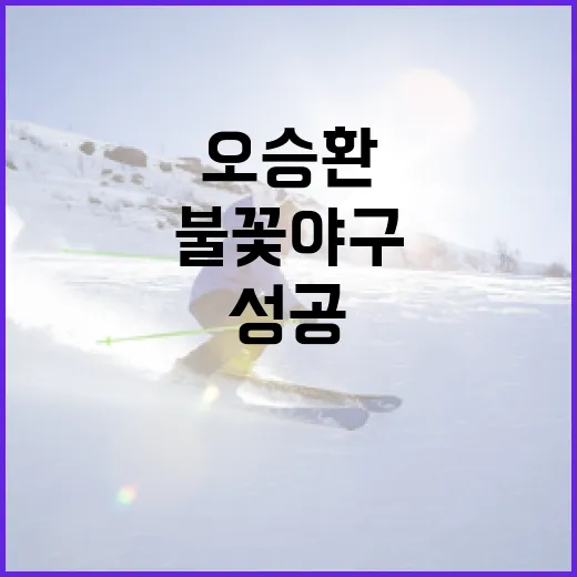 불꽃야구 오승환의 성공 비결: 초보자를 위한 가이드 - 요약