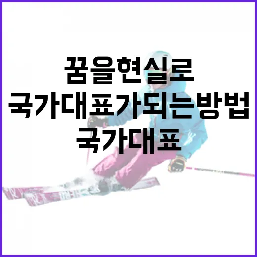 롤 국가대표가 되는 방법: 꿈을 현실로 - 요약