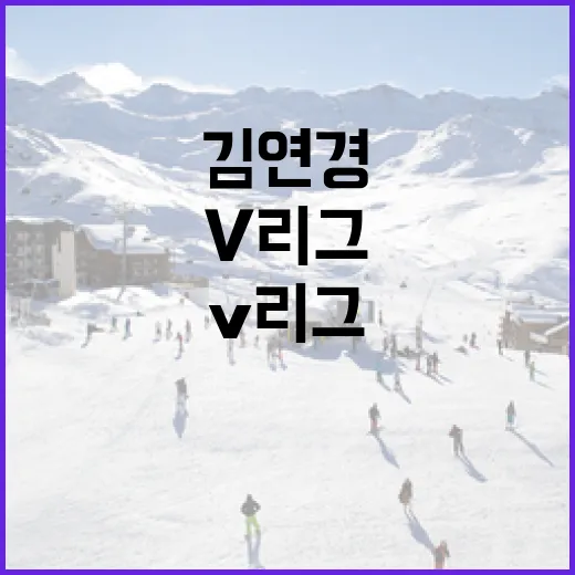 김연경의 V리그에서 튀르키예 리그로 이동하는 방법 - 요약