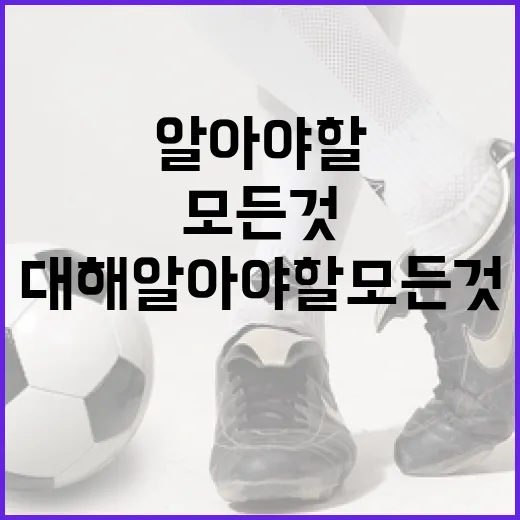 로비 알스트롬에 대해 알아야 할 모든 것 - 요약
