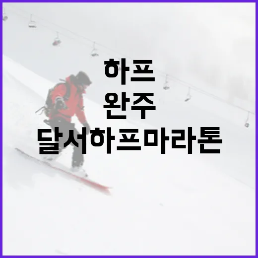달서하프마라톤에 참가하는 방법: 준비부터 완주까지 - 요약