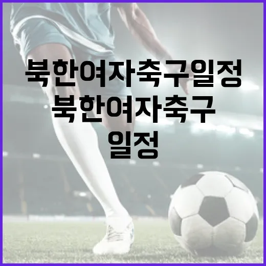 북한 여자축구 일정 파악하는 방법 - 요약