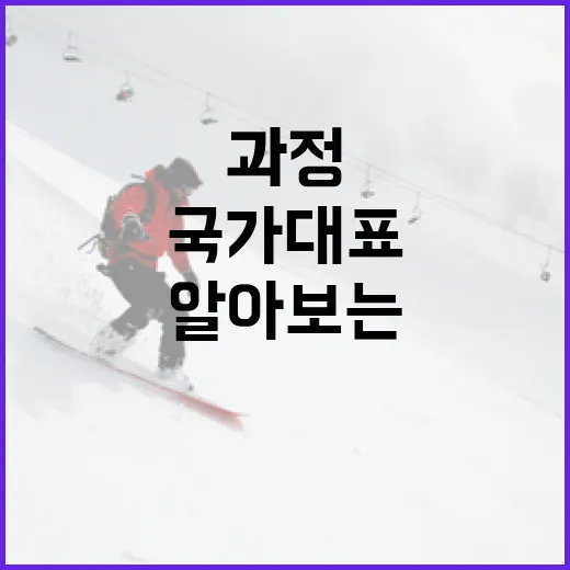 조영우 김동주, 국가대표 발탁 과정을 알아보는 방법 - 요약
