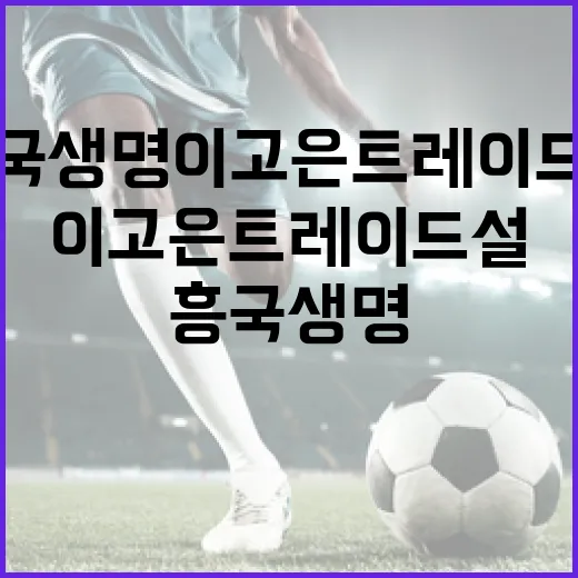 흥국생명 이고은 트레이드설에 대한 모든 것: 알아야 할 정보 - 요약