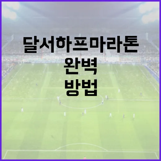 달서하프마라톤 준비하는 방법: 초보자를 위한 완벽 가이드 - 요약