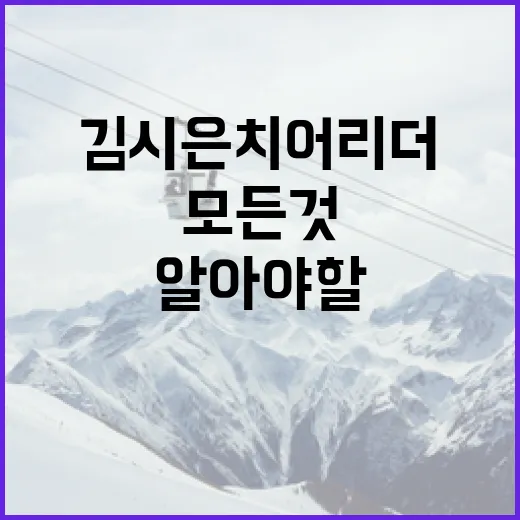 김시은 치어리더에 대해 알아야 할 모든 것 - 요약