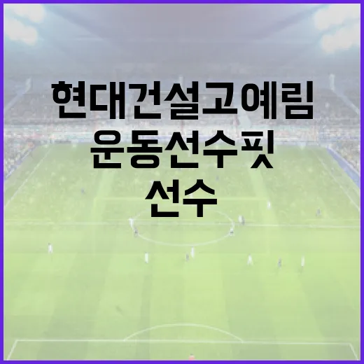 현대건설 고예림의 운동선수 핏 비법, 당신도 할 수 있다! - 요약