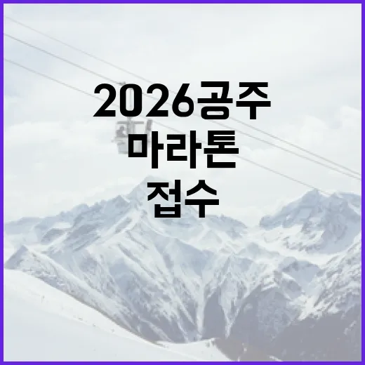 초보자를 위한 2026 공주마라톤 접수 방법 - 요약