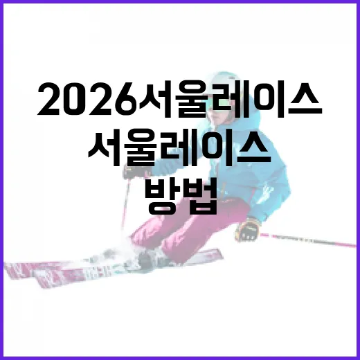 2026 서울레이스를 준비하는 방법: 초보자도 도전할 수 있다! - 요약