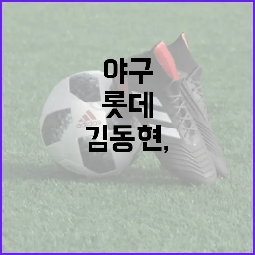 롯데 김동현, 그가 만들어 가는 새로운 야구 이야기 - 요약