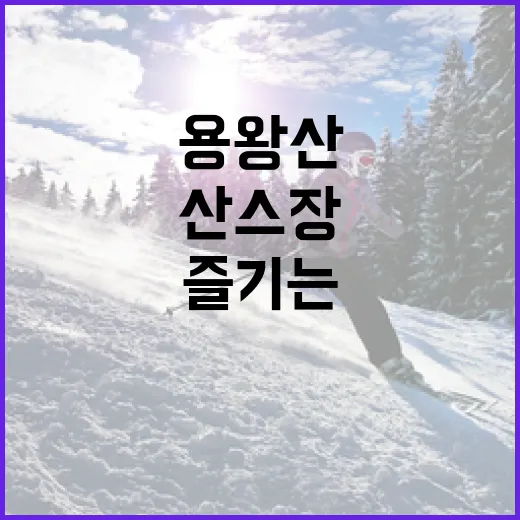 용왕산 산스장 즐기는 방법: 자연과 함께하는 힐링 시간 - 요약