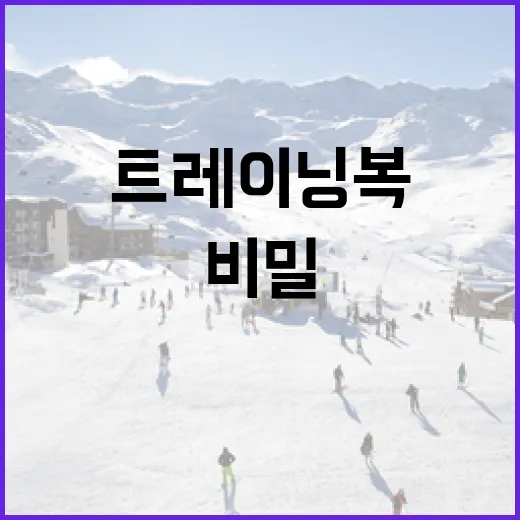 이주아 트레이닝복, 그 매력적인 실루엣의 비밀 - 요약