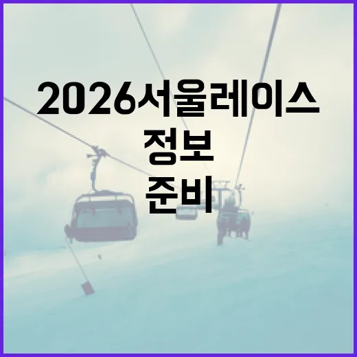 2026 서울레이스, 그 준비 단계와 필수 정보들 - 요약