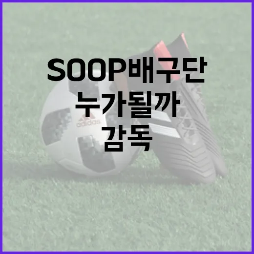 SOOP 배구단의 첫 번째 감독은 누가 될까? - 요약