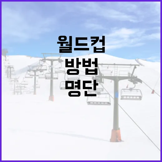 월드컵 명단을 알차게 활용하는 방법 - 요약