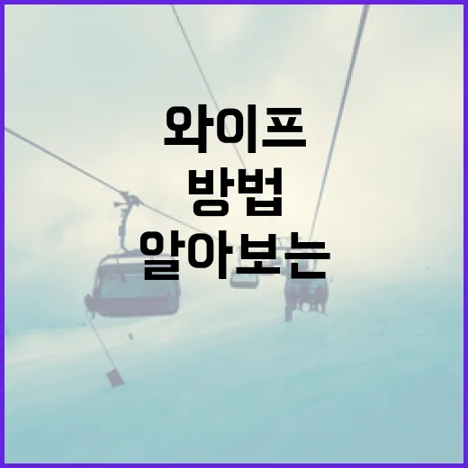 장두성 와이프에 대해 알아보는 방법 - 요약