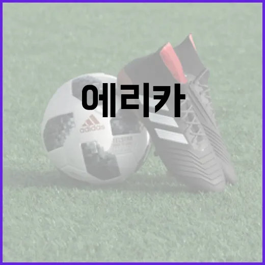 에리카 윤 스미스를 알아가는 방법 - 요약