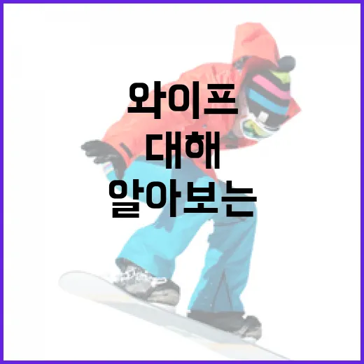 장두성 와이프에 대해 알아보는 흥미로운 이야기 - 요약