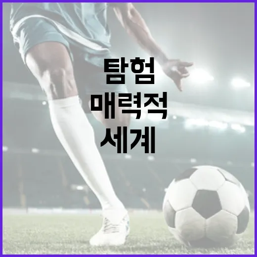 우식 리코: 그 매력적인 세계를 탐험하는 방법 - 요약