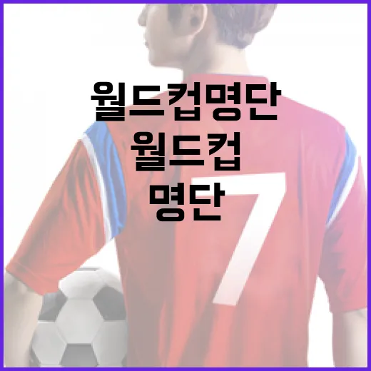 월드컵 명단, 이렇게 보면 더 재밌어요! - 요약