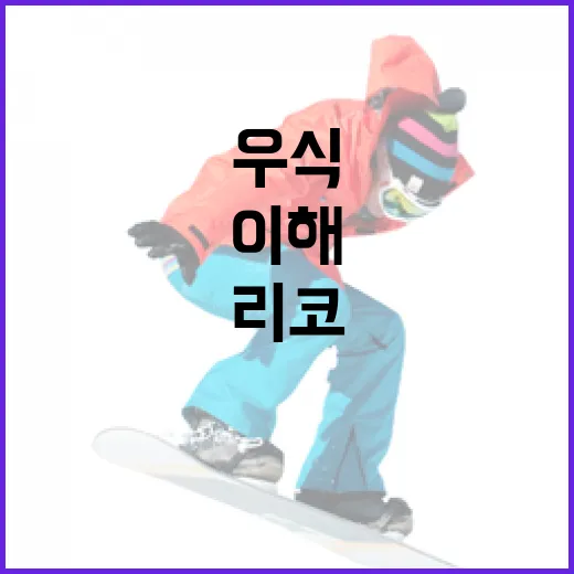 우식 리코를 제대로 이해하는 방법 - 요약