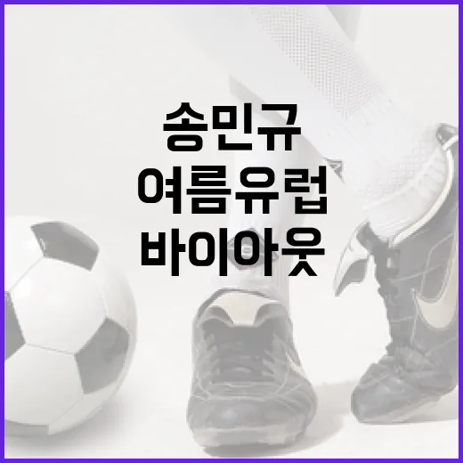 송민규, 여름 유럽으로의 바이아웃 모험 - 요약