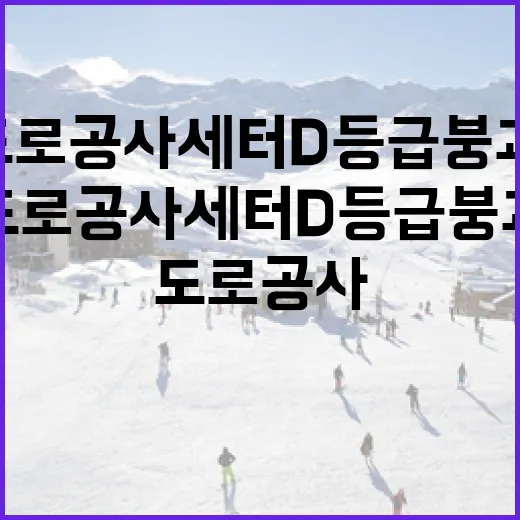 도로공사 세터 D등급 붕괴, 알아야 할 것들 - 요약
