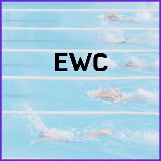 EWC 예선전을 준비하는 방법 - 요약