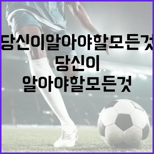 월드컵 명단, 이렇게 구성된다: 당신이 알아야 할 모든 것 - 요약