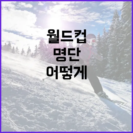 월드컵 명단, 어떻게 구성될까? - 요약