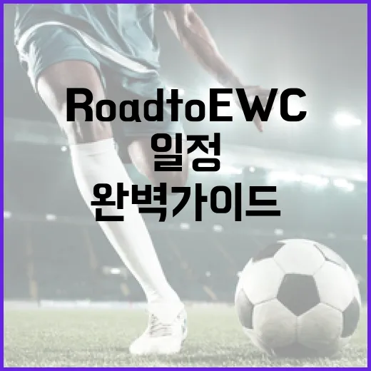 Road to EWC 일정 완벽 가이드 - 요약