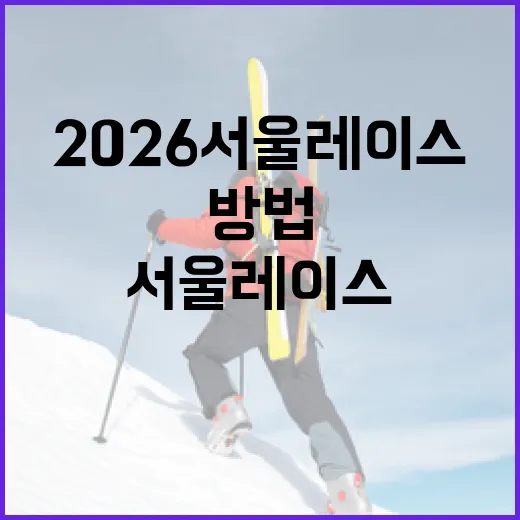 2026 서울레이스를 성공적으로 준비하는 방법 - 요약