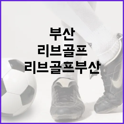 리브골프 부산, 초보자를 위한 매력적인 골프 여행 가이드 - 요약