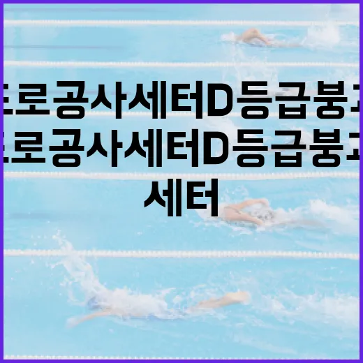 도로공사 세터 D등급 붕괴, 안전을 위한 대비 방법은? - 요약
