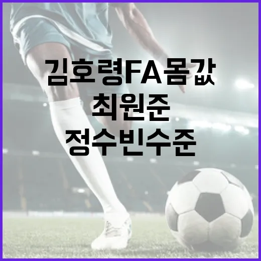 김호령 FA 몸값, 최원준과 정수빈 수준으로 보는 비밀 - 요약