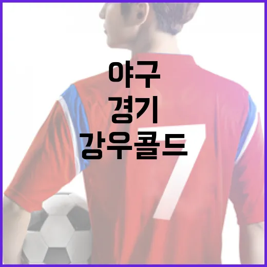 야구 경기 중 강우콜드 상황 대처법 - 요약