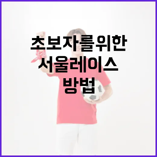 초보자를 위한 서울레이스 즐기는 방법 - 요약