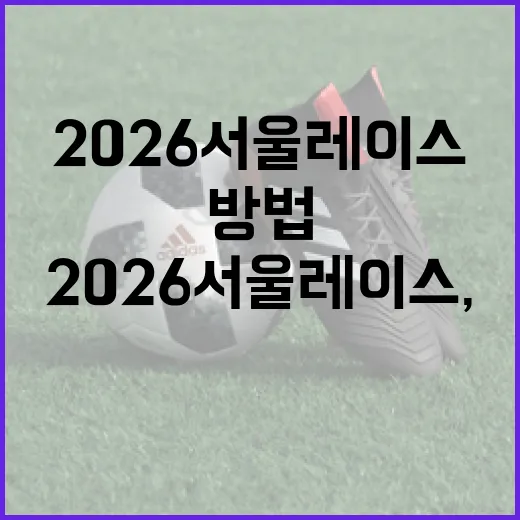 2026 서울레이스, 제대로 즐기는 방법 - 요약