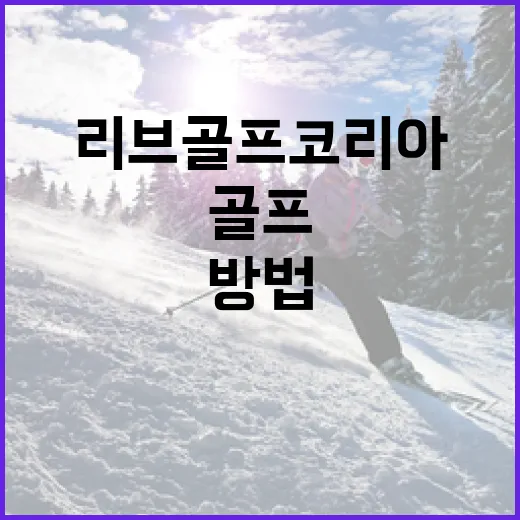 리브골프 코리아에서 즐거운 골프 경험을 만드는 방법 - 요약